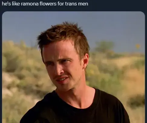 picture of Jesse Pinkman, caption reads "he's like remona flowers for trans men"